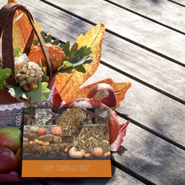 Thanksgiving Orange pumpkin rustic Postcard (Creator Uploaded)