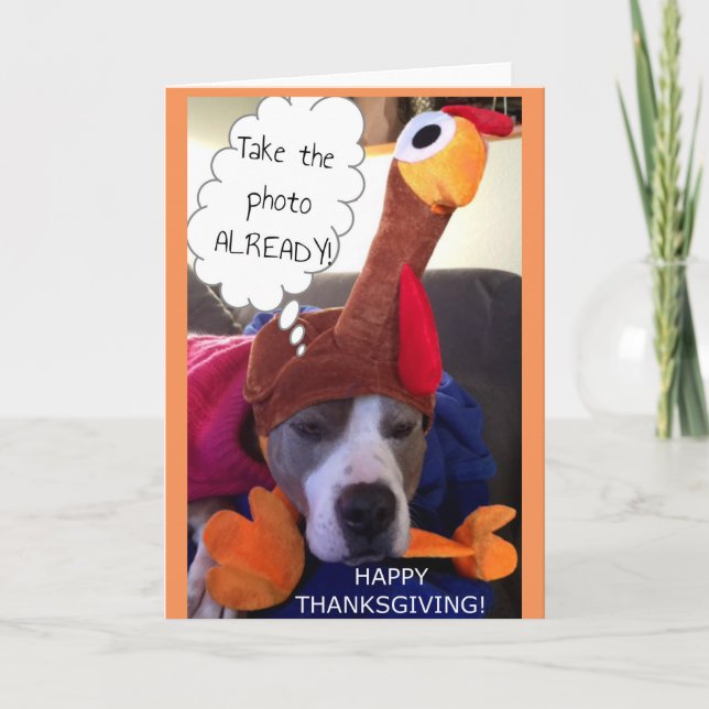 Thanksgiving - Pathetic Pittie Holiday Card (Front)