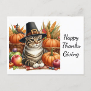 Thanksgiving Pilgrim Cat and Pumpkins  Postcard