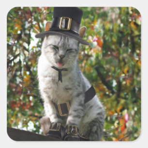 Thanksgiving Pilgrim Cat Square Sticker