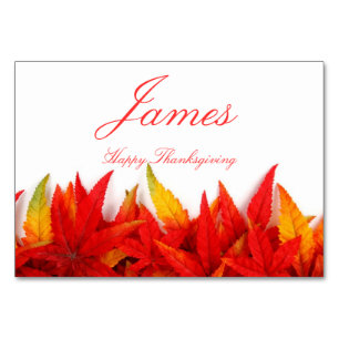 Thanksgiving Place Cards With Fall Leaves