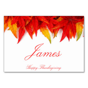 Thanksgiving Place Cards With Fall Leaves