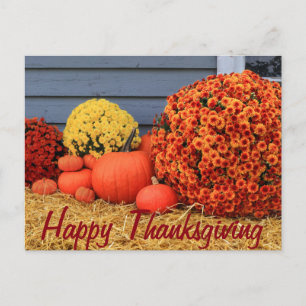 Thanksgiving Post Card (with text)