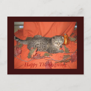 Thanksgiving Postcard