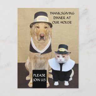 Thanksgiving Postcard/Invitation Invitation Postcard