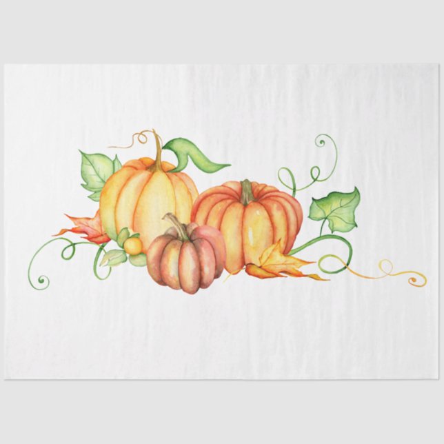 Thanksgiving Pumpkin Series Design 8 Tissue Paper (Front)