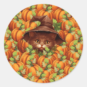 THANKSGIVING PUMPKINS CUTE CAT CLASSIC ROUND STICKER