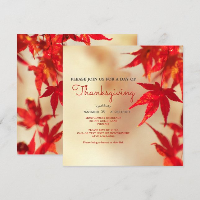 Thanksgiving Red Autumn Leaves Border Template (Front/Back)
