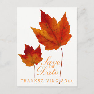 Thanksgiving Save the Date Maple Leaf Postcard