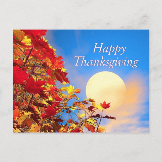 Thanksgiving Sun and Fall Tree Holiday Postcard (Front)