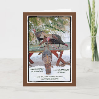 Thanksgiving Trio of Wild Turkeys Card