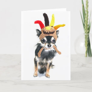 Thanksgiving Turkey Chihuahua Holiday Card