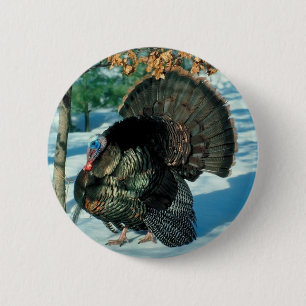 Thanksgiving Turkey Christmas Bird Winter Holidays 6 Cm Round Badge
