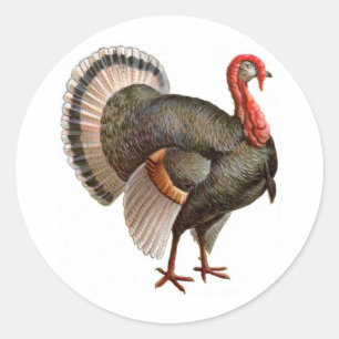 THANKSGIVING TURKEY CLASSIC ROUND STICKER