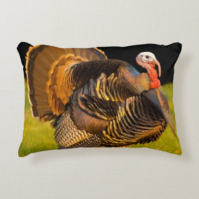 Thanksgiving turkey decorative cushion (Front)