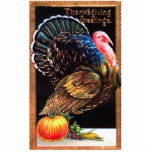 Thanksgiving Turkey Greetings Photo Sculpture<br><div class="desc">Turkey with a pumpkin.  On top Thanksgiving Greetings.  In a gold trim.</div>