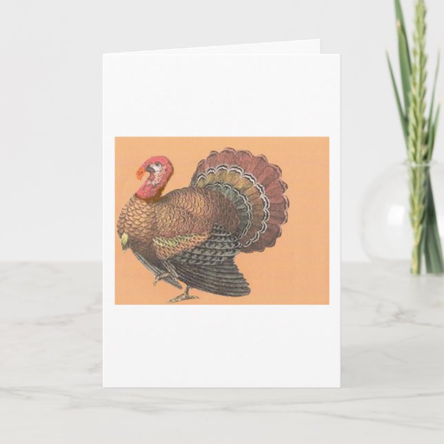 Thanksgiving Turkey Holiday Card (Front)