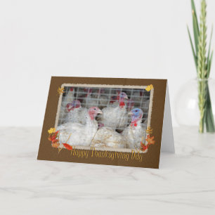 Thanksgiving Turkey Holiday Card