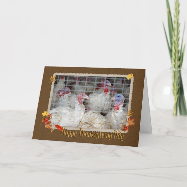 Thanksgiving Turkey Holiday Card (Front)