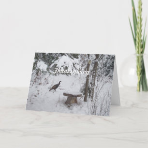 Thanksgiving Turkey Holiday Card