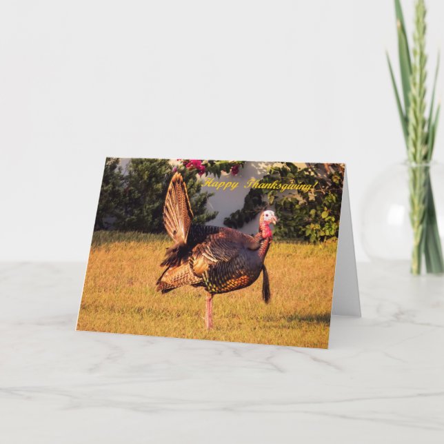 Thanksgiving Turkey Holiday Card (Front)