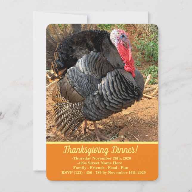 Thanksgiving Turkey Invitation (Front)