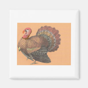 Thanksgiving Turkey Magnet