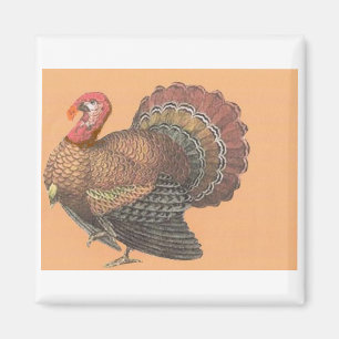 Thanksgiving Turkey Magnet