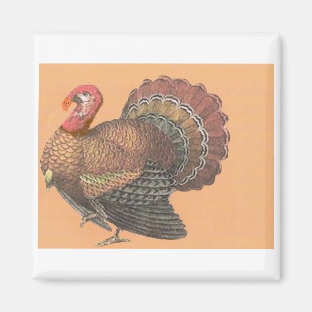 Thanksgiving Turkey Magnet (Front)