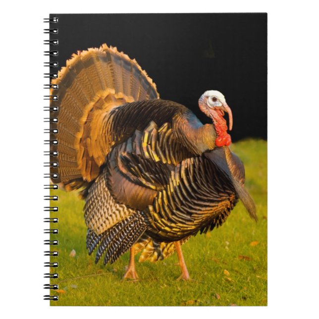 Thanksgiving turkey notebook (Front)