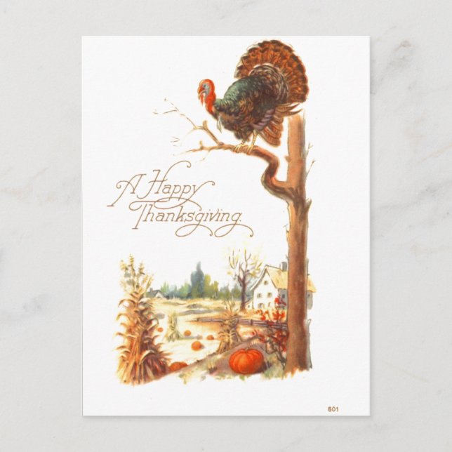 Thanksgiving Turkey on Tree Branch Vintage Holiday Postcard (Front)