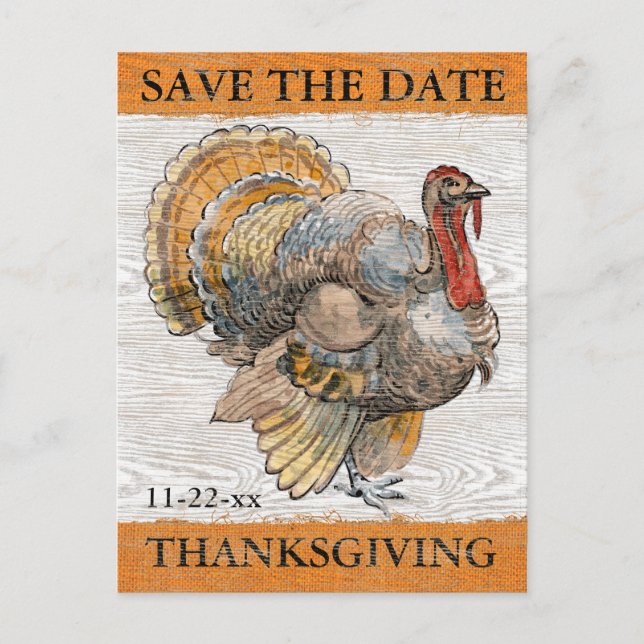 Thanksgiving Turkey Rustic Save the Date Invitation Postcard (Front)
