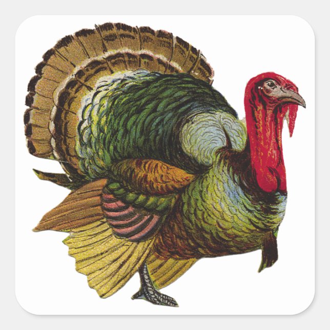 Thanksgiving Turkey Square Sticker (Front)