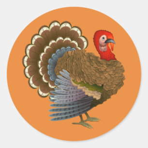 Thanksgiving Turkey sticker