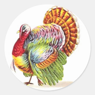 Thanksgiving Turkey Stickers - Colourful