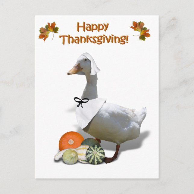 Thanksgiving White Duck Pilgrim Girl Holiday Postcard (Front)