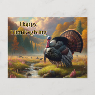 Thanksgiving Wild Tom Turkey  Holiday Postcard