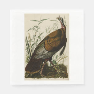 Thanksgiving Wild Turkey John James Audubon Napkin
