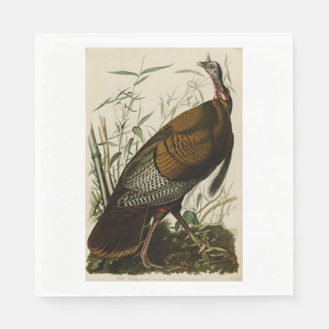 Thanksgiving Wild Turkey John James Audubon Napkin (Front)