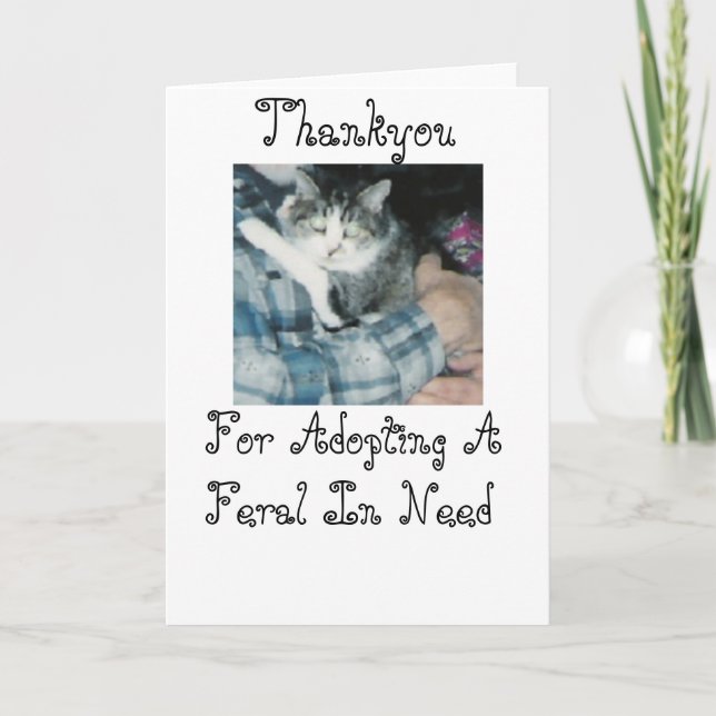 Thankyou-Feral Cat Thank You Card (Front)