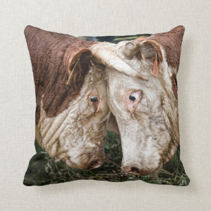 That ain't no bull cushion