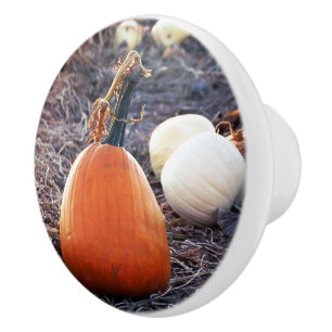That Autumn Feeling Ceramic Knob
