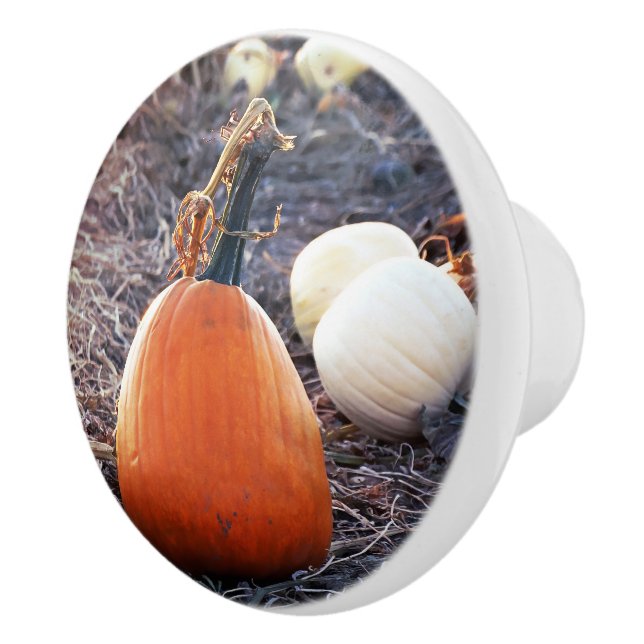 That Autumn Feeling Ceramic Knob (Right)
