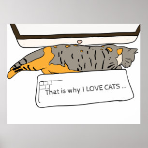 That Is Why We Love Cats Poster