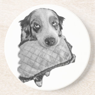 That Look Coaster