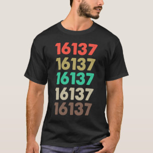 That Says 16137 Retro Zip code Zipcode  16137 T-Shirt