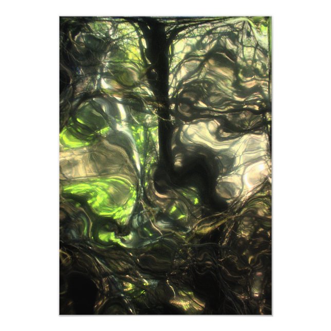 That Very Night in Max's Room a Forest Grew & Grew Photo Print (Front)