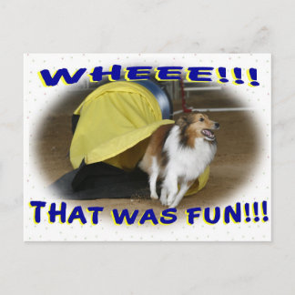 That was Fun Postcard