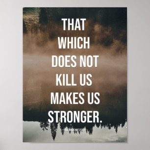 That which does not kill us makes us stronger. poster