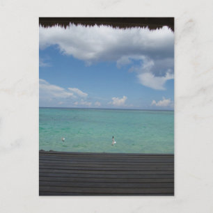 Thatched Cabana postcard